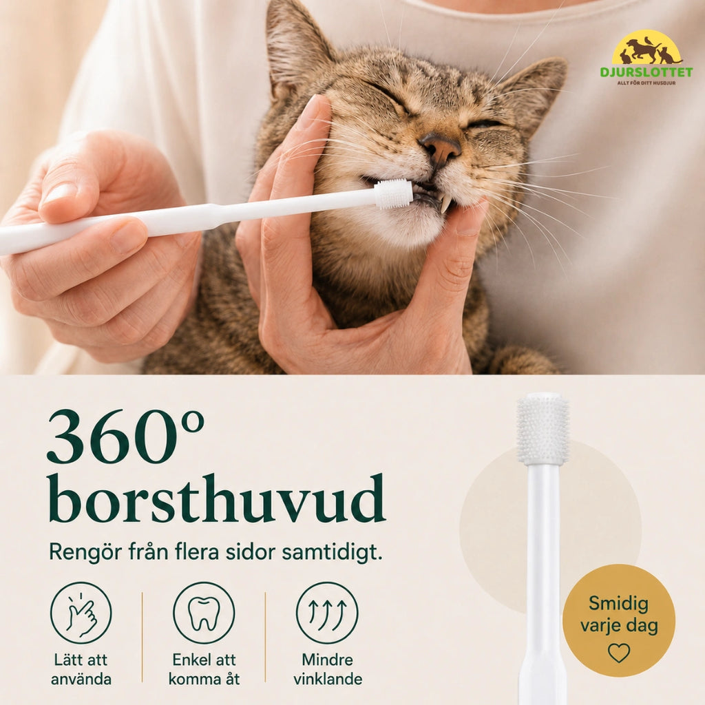 SoftBrush tandborste smidig att använda varje dag - Djurslottet