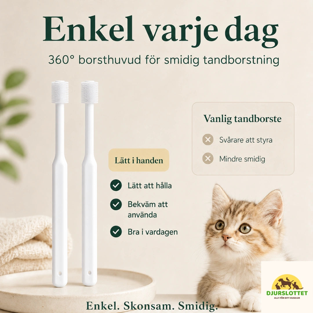 SoftBrush tandborste för enkel daglig tandvård - Djurslottet