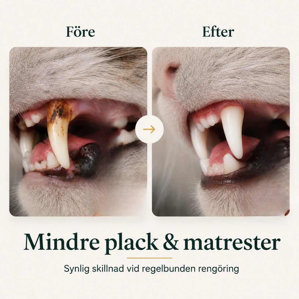 SoftBrush tandborste resultat före och efter - Djurslottet