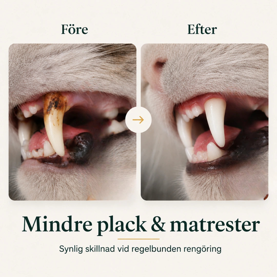 SoftBrush tandborste resultat före och efter - Djurslottet