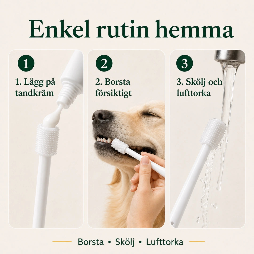SoftBrush tandborste för enkel tandvårdsrutin hemma - Djurslottet