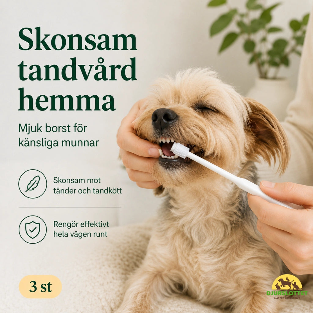 SoftBrush tandborste skonsam mot känsligt tandkött - Djurslottet