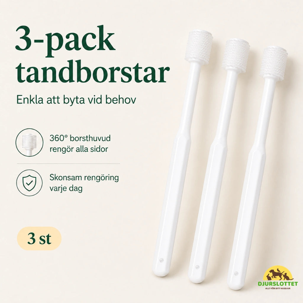 SoftBrush tandborste levereras i hygieniskt 3-pack - Djurslottet