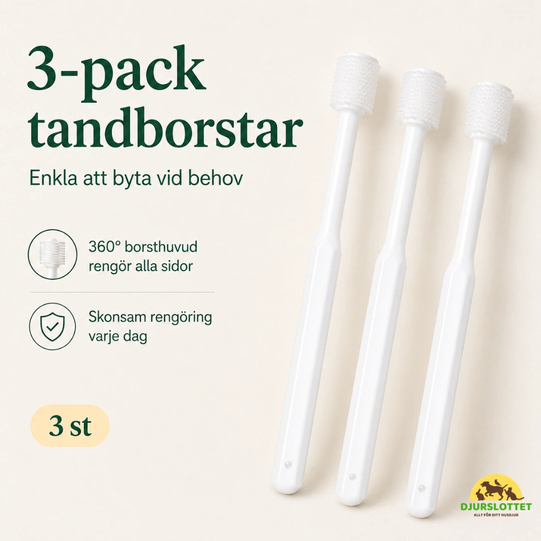 SoftBrush tandborste levereras i hygieniskt 3-pack - Djurslottet