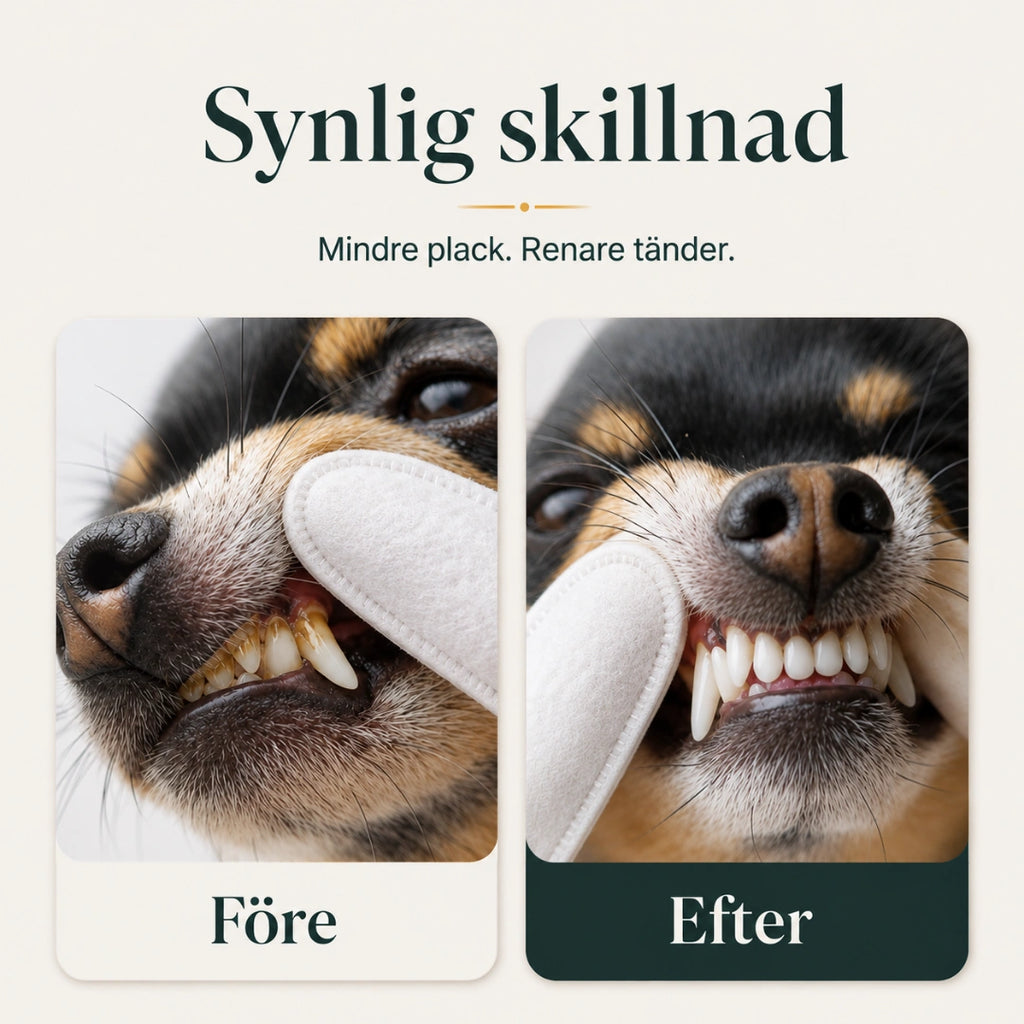 TailCare tandrengöring ger synlig skillnad på tänderna - Djurslottet