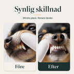 TailCare tandrengöring ger synlig skillnad på tänderna - Djurslottet