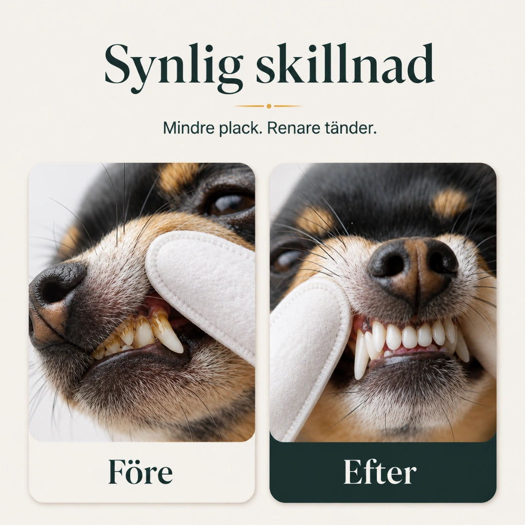 TailCare tandrengöring ger synlig skillnad på tänderna - Djurslottet