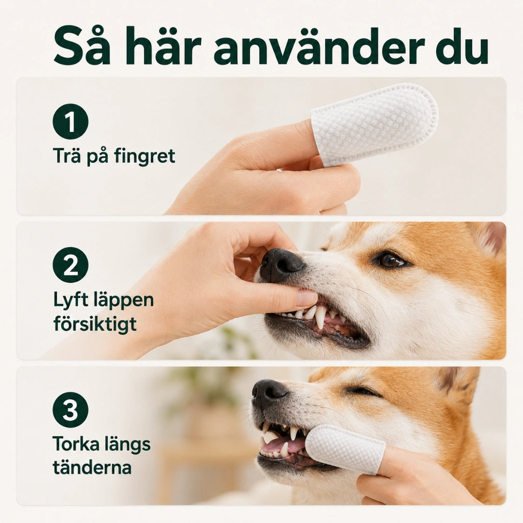 TailCare tandrengöring så här använder du den - Djurslottet