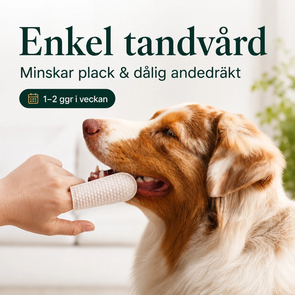 TailCare tandrengöring för enkel daglig tandvård - Djurslottet