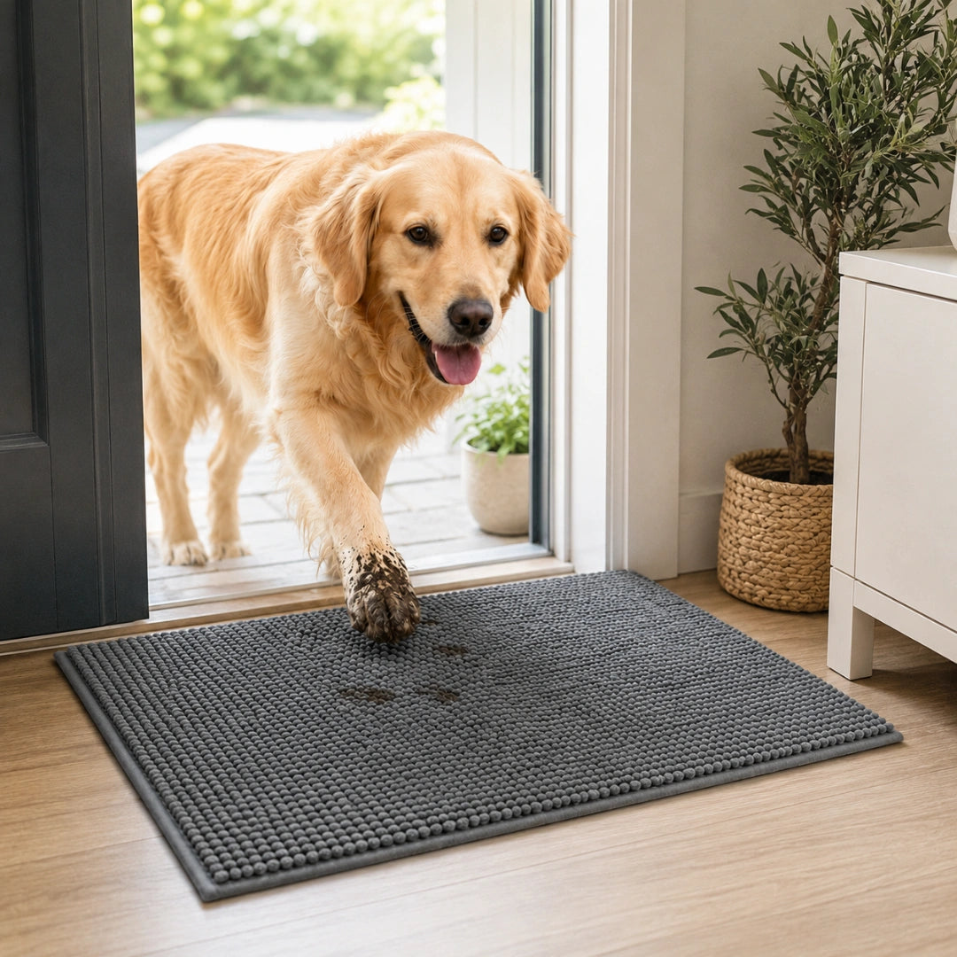 Hund på absorberande tassmatta i hemmet – Djurslottet