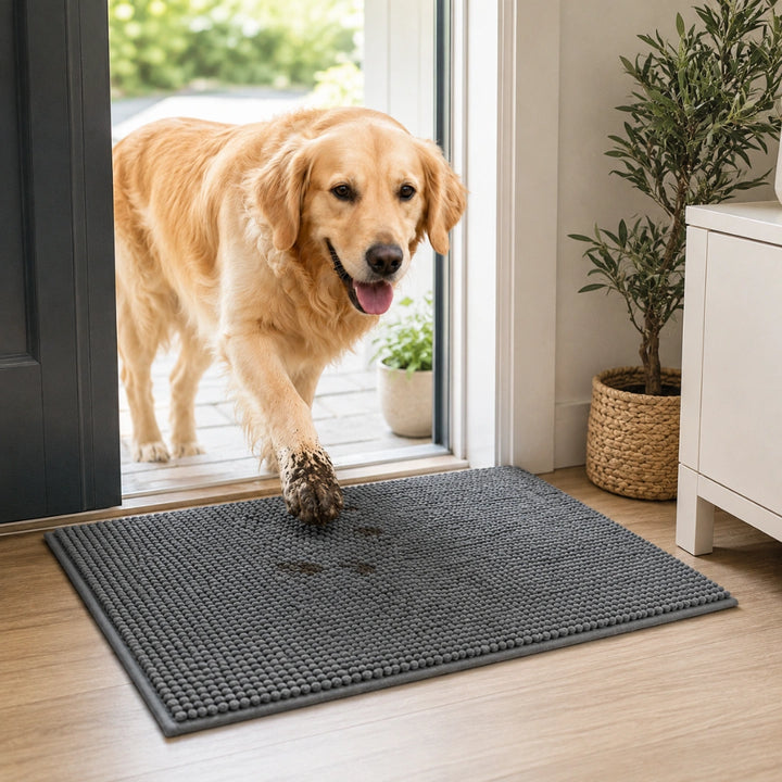 Hund på absorberande tassmatta i hemmet – Djurslottet