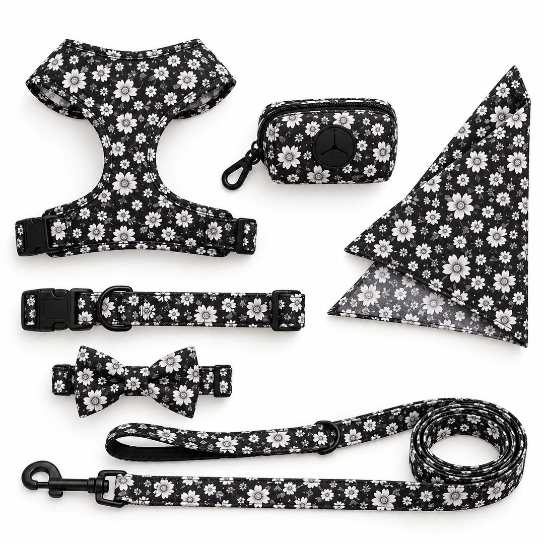Tassvyn Hundselepaket – svartvitt 6-delat set med sele, halsband, koppel och tillbehör – Djurslottet