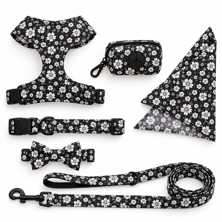 Tassvyn Hundselepaket – svartvitt 6-delat set med sele, halsband, koppel och tillbehör – Djurslottet