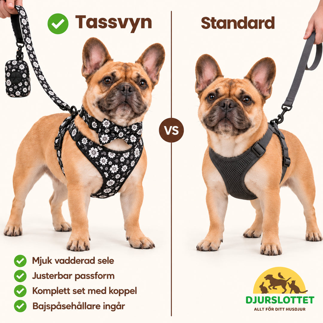 Tassvyn Hundselepaket – matchande sele och tillbehör bredvid en standardsele – Djurslottet