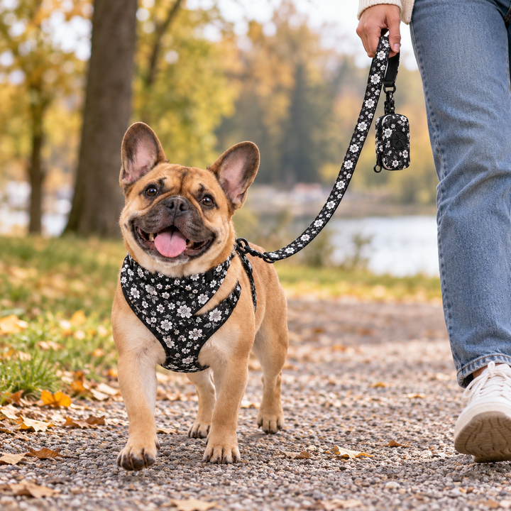 Tassvyn Hundselepaket i svartvitt blommönster på hund under promenad.