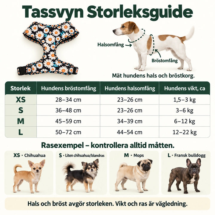 Tassvyn Hundselepaket – mät hundens bröst och hals; XS–L med hundens ungefärliga vikt och rasexempel.