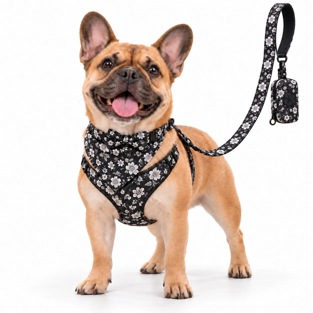Tassvyn Hundselepaket – Svartvitt blommönster på fransk bulldogg – Djurslottet