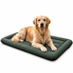 PawHut hundbädd för utomhus med lugn golden retriever på vit bakgrund