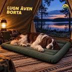 PawHut hundbädd för utomhus med sovande hund i tält