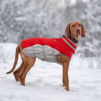 Hund i röd Nordvarm Vinterjacka ute i snön - Djurslottet