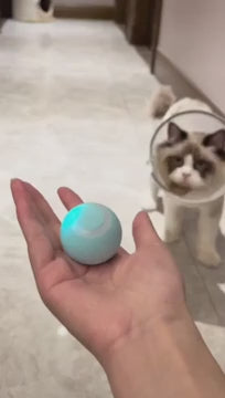 Elektrisk rullande boll - Katt leksak | Djurslottet