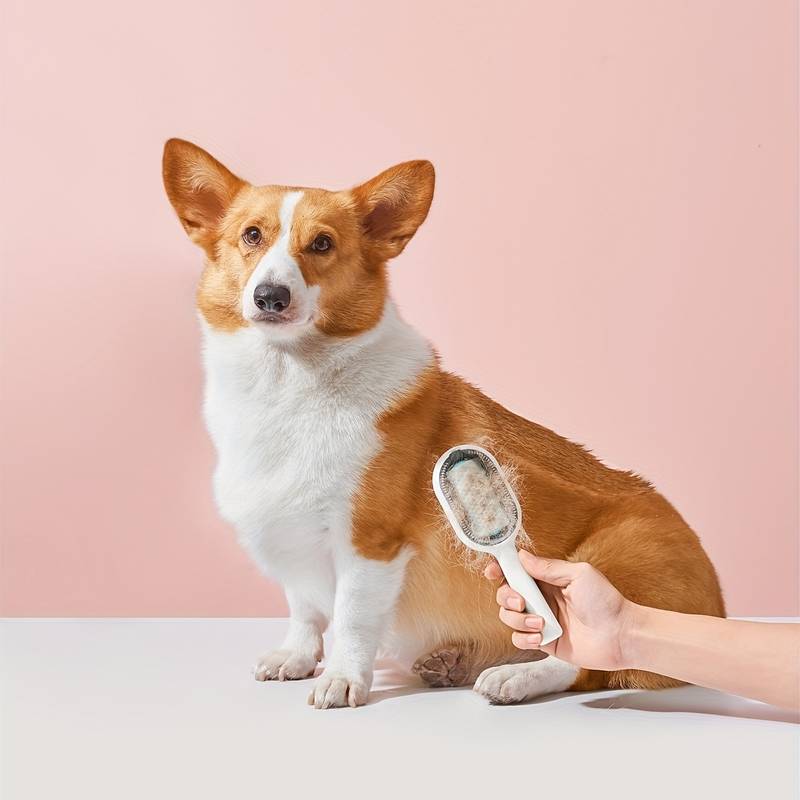 Kattborste Långhårig, 
Hundborste Långhårig, Dubbelsidig wipeorste för hundar och katter - Blå färg