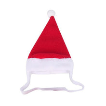 Julhatt och Halsduk för husdjur