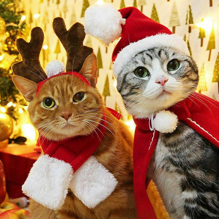 Hund och Katt Julmössa / Halsduk - djurslottet