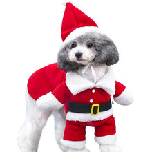 Juldräkt till hund och katt