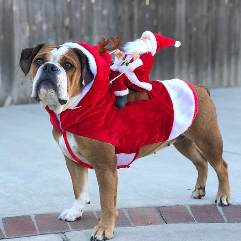 Jultomtedräkt till hund och katt - djurslottet