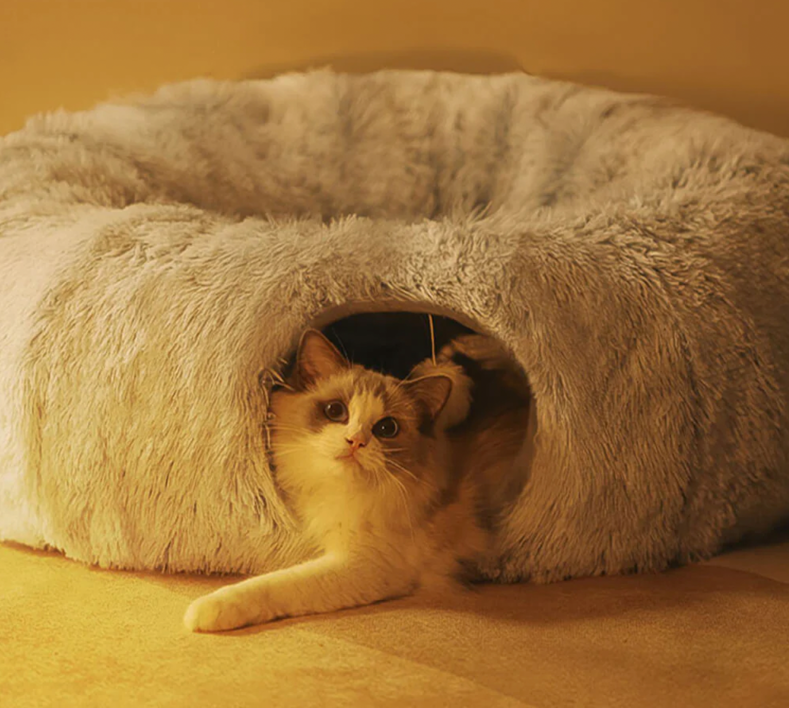 Kattunnelsäng - Djurslottet