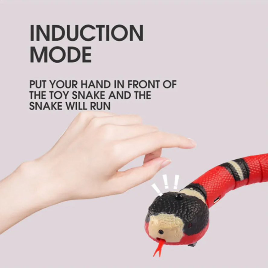 Interaktiv Kattleksak, 
Automatisk Kattleksak, Automatisk Leksakorm för katter - Djurslottet