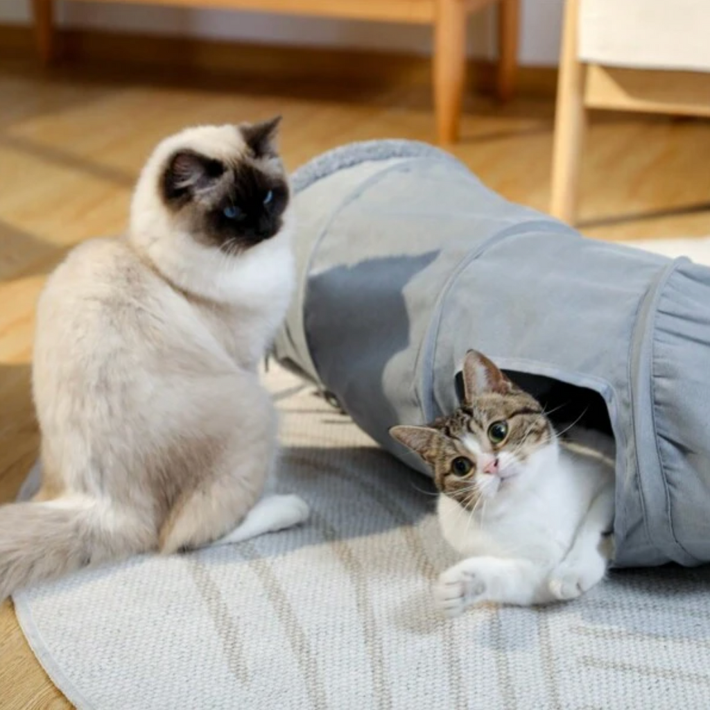 Hopfällbar Kattunnel Mocca - Djurslottet