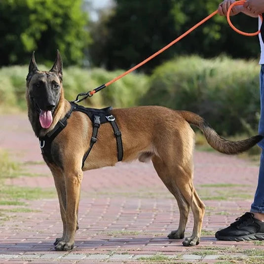 ProSafeX Dragsele för Hundar - Djurslottet
