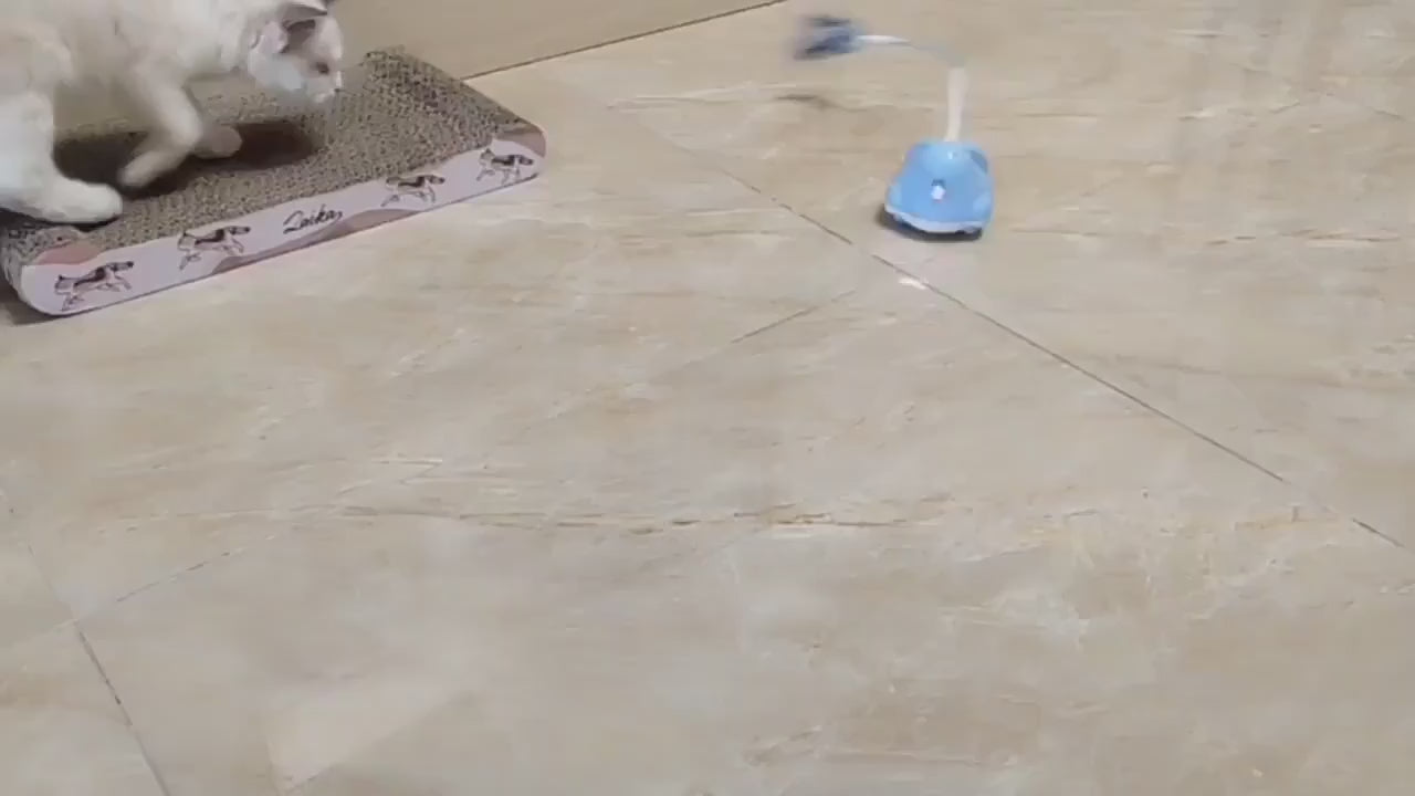 Catchase - en interaktiv rolig leksak för katter | Djurslottet