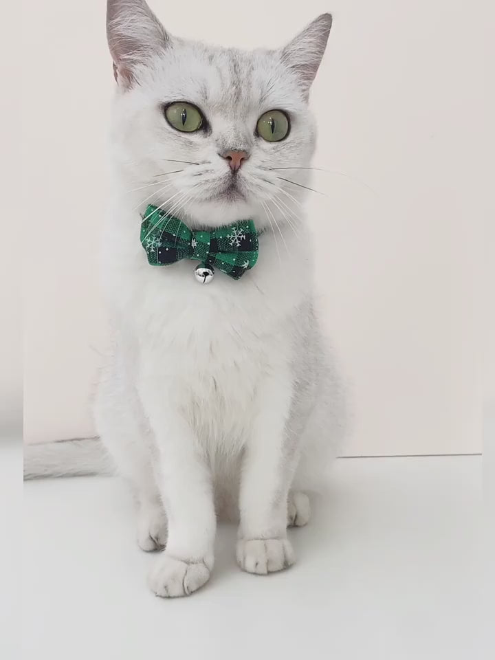 Video av Julfluga till hund och katt - Djurslottet 