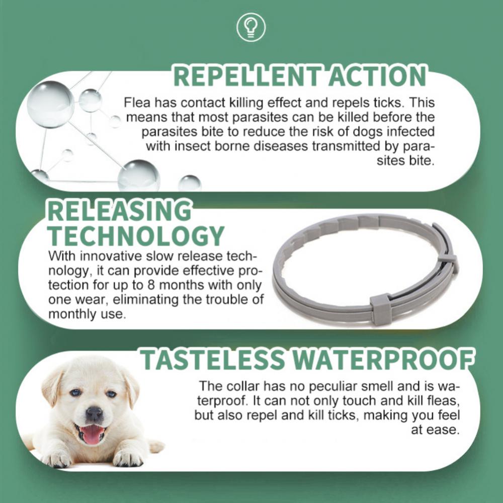 Fästingskydd För Hund, 
Fästinghalsband För Katt, TickSafe Fästingshalsband - djurslottet