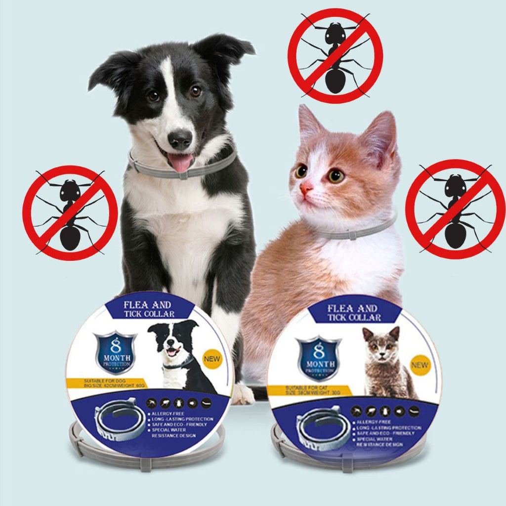 Fästingskydd För Hund, 
Fästinghalsband För Katt, TickSafe Fästingshalsband - djurslottet