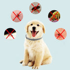 Fästingskydd För Hund, 
Fästinghalsband För Katt, TickSafe Fästingshalsband - djurslottet