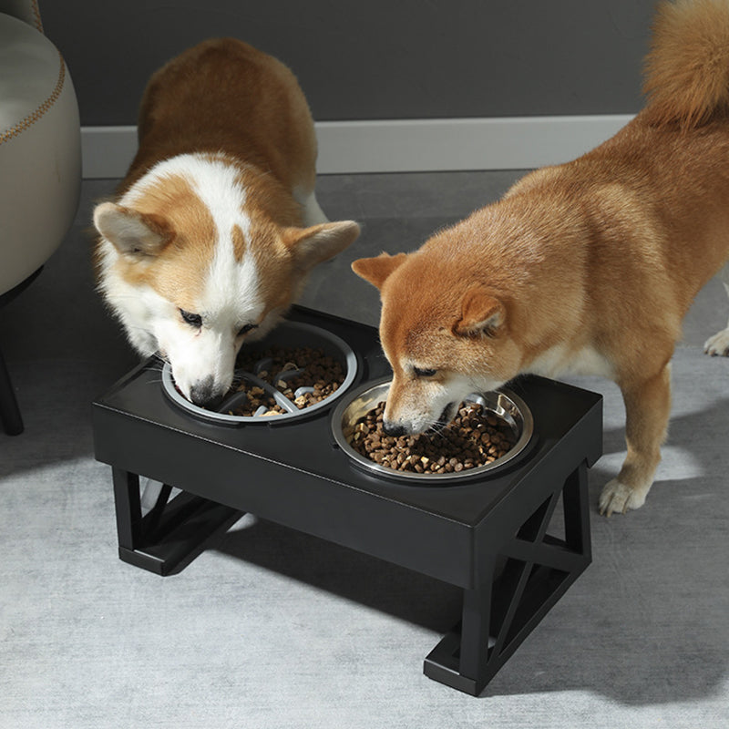 Upphöjd Matskål Katt, 
Hund Matskål, Justerbar Upphöjd Matskål - Djurslottet