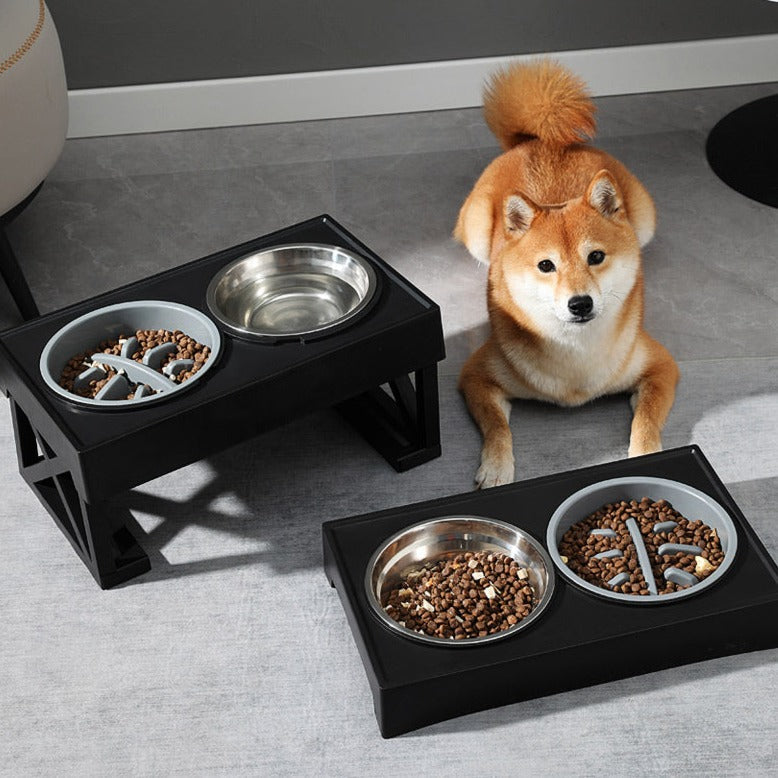 Upphöjd Matskål Katt, 
Hund Matskål, Justerbar Upphöjd Matskål - Djurslottet
