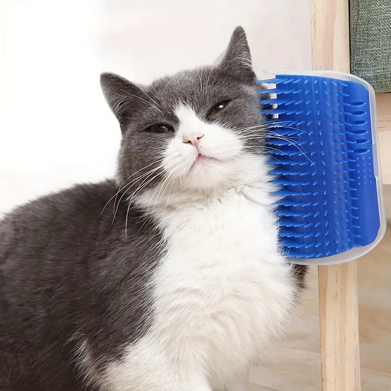 Katt hörn-massageborste - Djurslottet