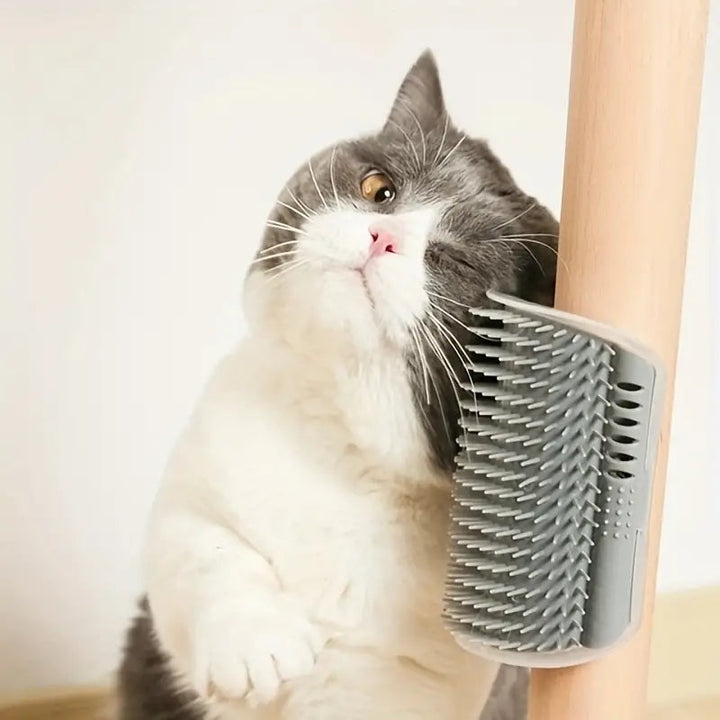 Kattborste Hörn, 
Katt Borste, Katt hörn-massageborste - Djurslottet
