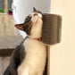 Katt hörn-massageborste - Djurslottet