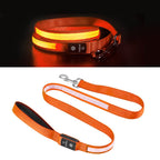 Led koppel - djurslottet