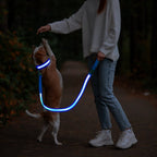 Led koppel - djurslottet