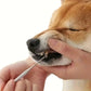 Tandstensskrapa 3 sets för hund och katt - Djurslottet