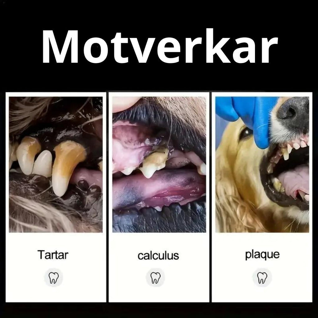 Tandstensskrapa För Hund,
Ta Bort Tandsten, Tandstensskrapa 3 sets för hund och katt - Djurslottet