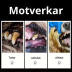 Tandstensskrapa För Hund,
Ta Bort Tandsten, Tandstensskrapa 3 sets för hund och katt - Djurslottet