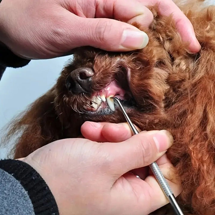 Tandstensskrapa För Hund,
Ta Bort Tandsten, Tandstensskrapa 3 sets för hund och katt - Djurslottet